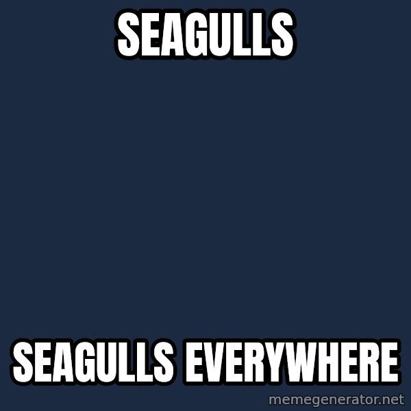 X, X Everywhere  meme: Seagulls / Seagulls everywhere