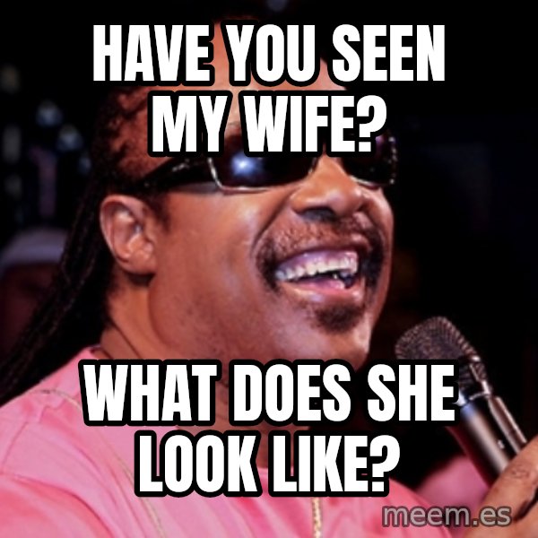 stevie wonder meme: have you seen my wife? / what does she look like?