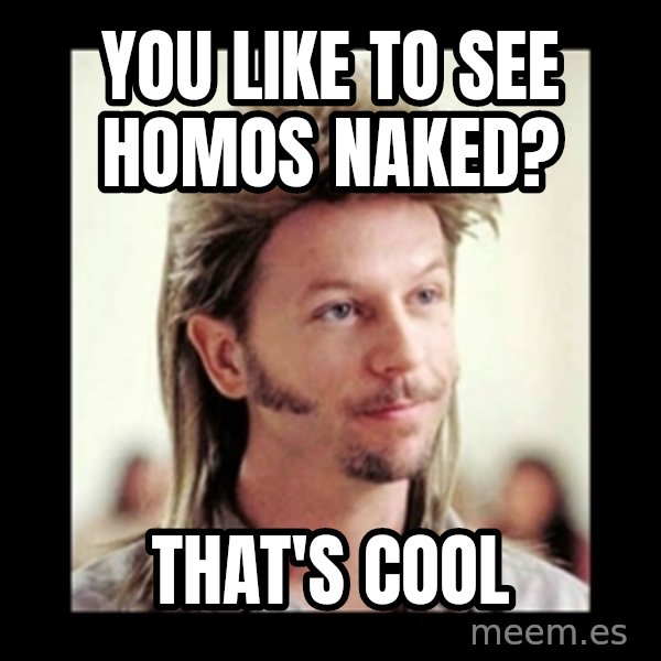 Joe Dirt meme: You like to see homos naked? / That's cool