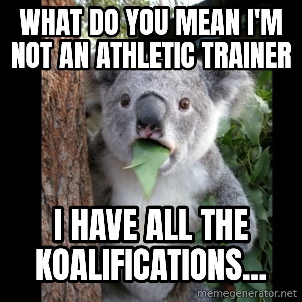 Koala can't believe it meme: What do you mean I'm not an Athletic Trainer / I have all the koalifications...