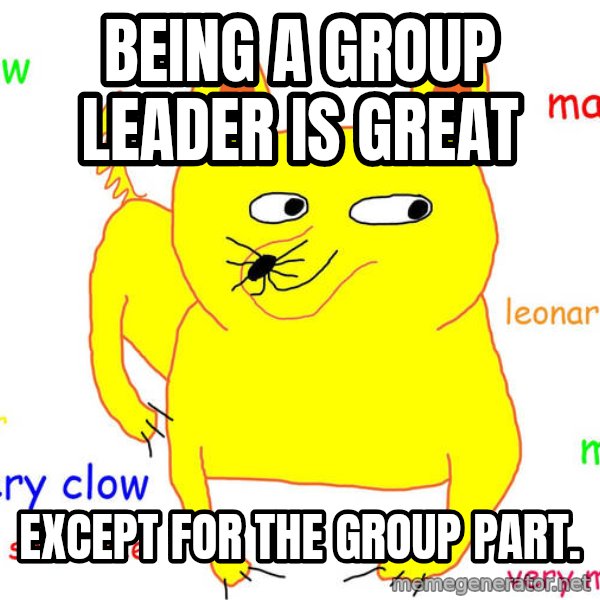 Grumpy Cat  meme: Being a group leader is great / Except for the group part.
