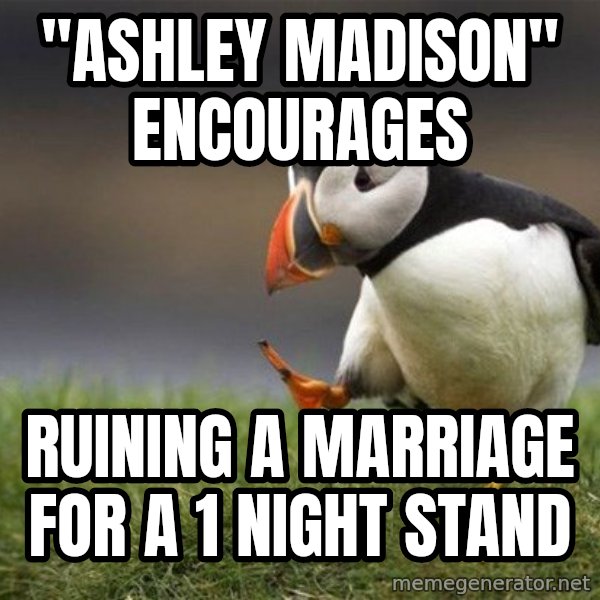 Unpopular Opinion Puffin meme: "Ashley Madison" encourages / Ruining a marriage for a 1 night stand