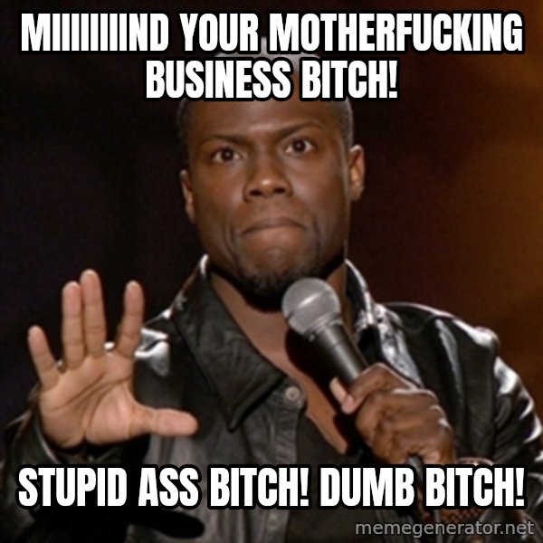 Kevin Hart meme: Miiiiiiiind your motherfucking business bitch! / Stupid ass bitch! Dumb bitch!