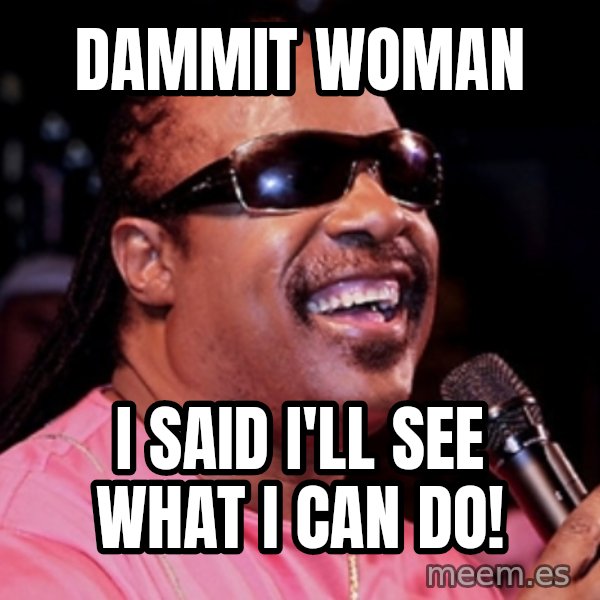 stevie wonder meme: Dammit woman / I said i'll see what i can do!