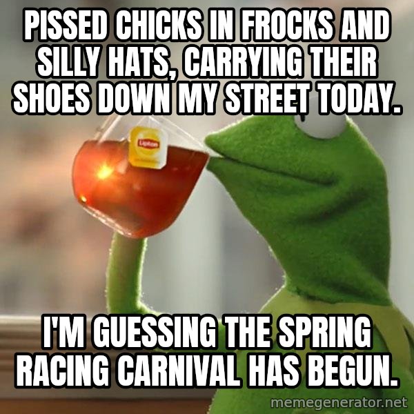 Kermit The Frog Drinking Tea meme: Pissed chicks in frocks and silly hats, carrying their shoes down my street today. / I'm guessing the spring racing carnival has begun.