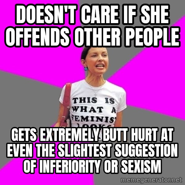 Feminist Cunt meme: Doesn't care if she offends other people / Gets extremely butt hurt at even the slightest suggestion of inferiority or sexism