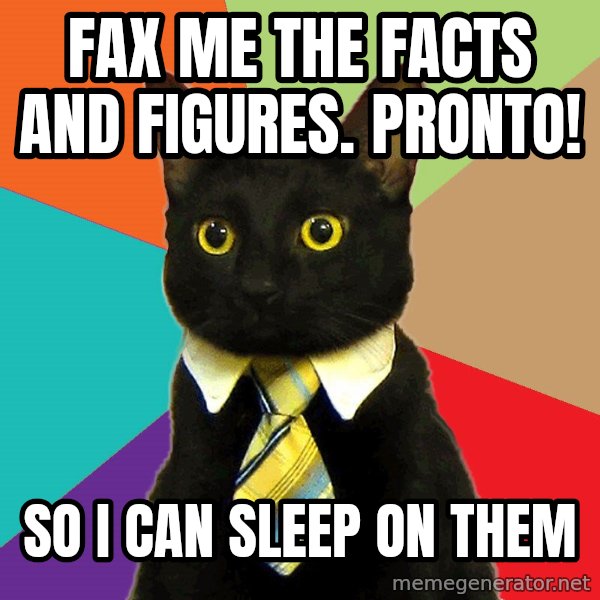 Business Cat meme: fax me the facts and figures.  pronto! / so I can sleep on them