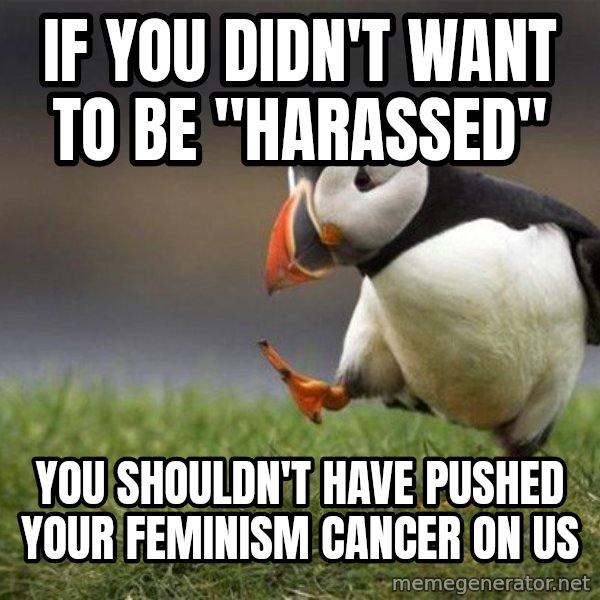 Unpopular Opinion Puffin meme: If you didn't want to be "harassed" / You shouldn't have pushed your feminism cancer on us