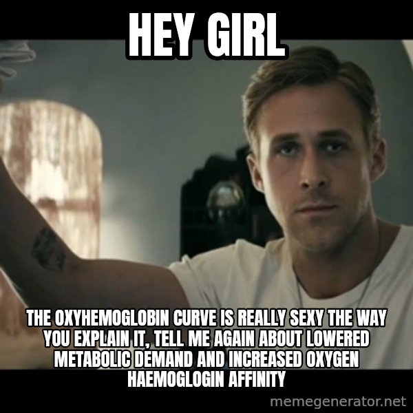 ryan gosling hey girl meme: Hey girl / The oxyhemoglobin curve is really sexy the way you explain it, tell me again about lowered metabolic demand and increased Oxygen Haemoglogin affinity