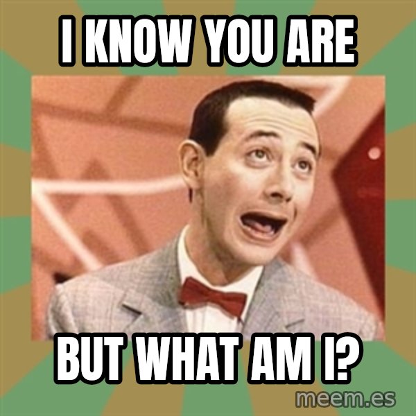 PEE WEE HERMAN meme: I know you are / But what am I?