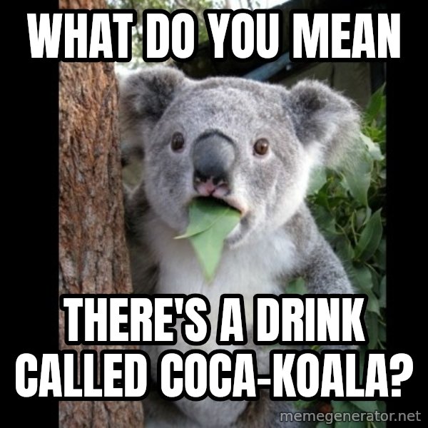 Koala can't believe it meme: what do you mean / there's a drink called coca-koala?