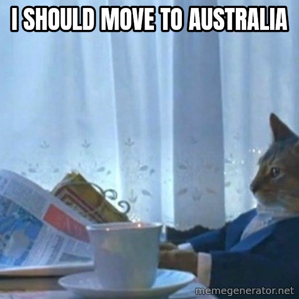 newspaper cat realization meme: I should move to Australia