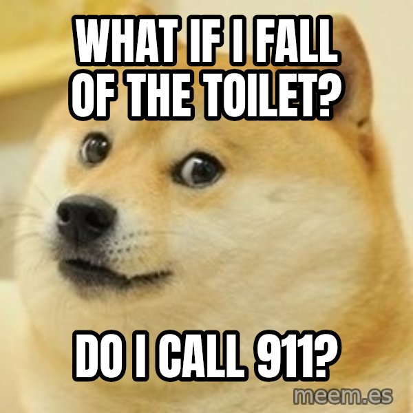 Real Doge meme: what if i fall of the toilet? / do i call 911?