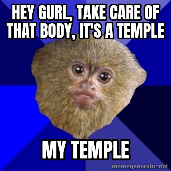 Mra Marmoset meme: Hey gurl, take care of that body, it's a temple / My temple