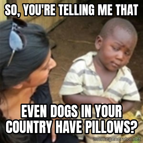 Skeptical african kid  meme: So, you're telling me that / even dogs in your country have pillows?