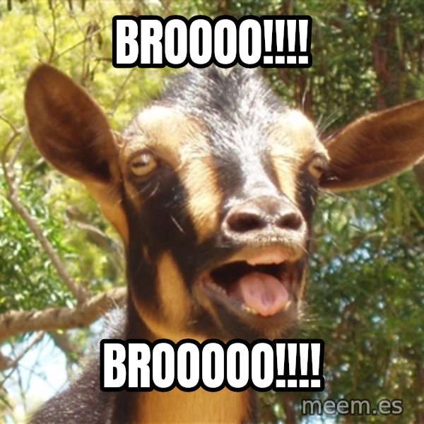 Illogical Goat meme: Broooo!!!! / BROOOOO!!!!