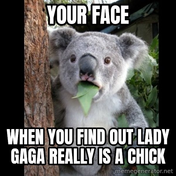 Koala can't believe it meme: Your face / When you find out Lady Gaga really is a chick