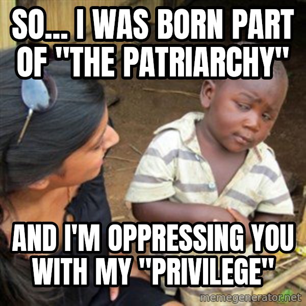 Skeptical 3rd World Kid meme: So... I was born part of  "the patriarchy" / And I'm oppressing you with my "privilege"