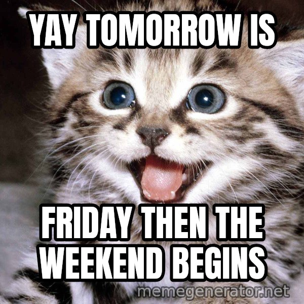 HAPPY KITTEN meme: yay tomorrow is / friday then the weekend begins