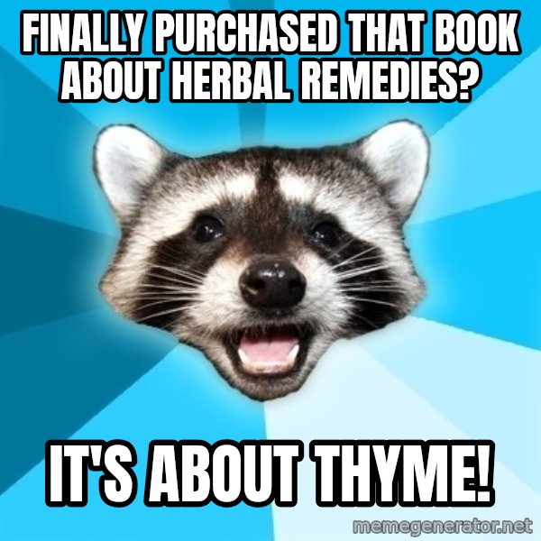 Lame Pun Coon meme: Finally purchased that book about herbal remedies? / It's about thyme!
