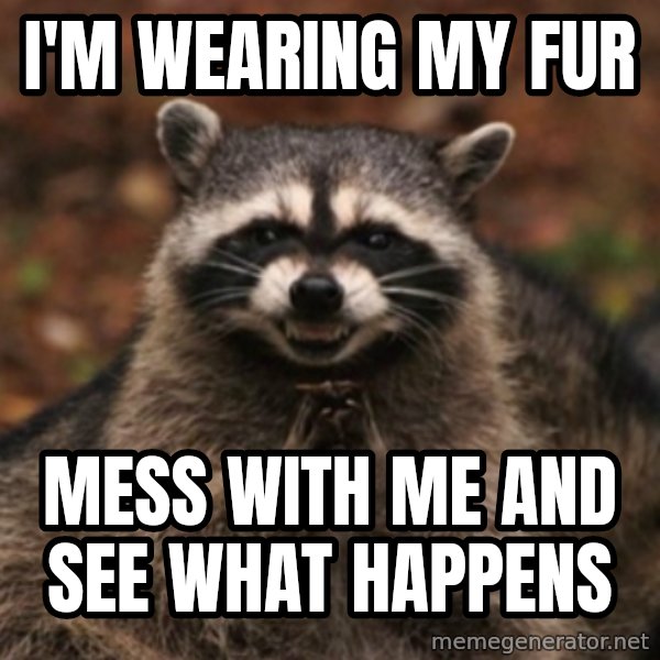 evil raccoon meme: i'm wearing my fur / mess with me and see what happens