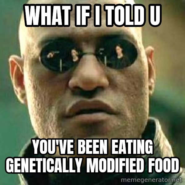 What if I told you / Matrix Morpheus meme: what if i told u / you've been eating genetically modified food