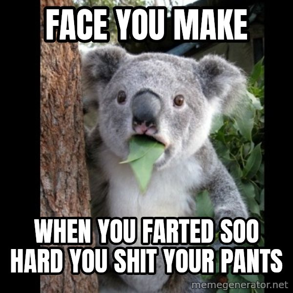 Koala can't believe it meme: face you make / when you farted soo hard you shit your pants