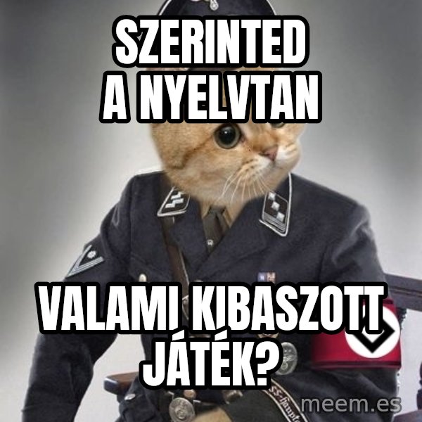 Nazi Cat meme: Szerinted a nyelvtan / Valami kibaszott játék?