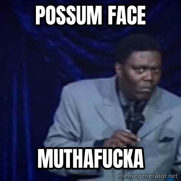 Bernie Mac Funny meme: Possum face / muthafucka