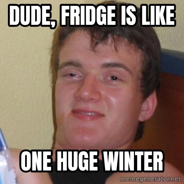 high/drunk guy meme: Dude, Fridge is like / one huge winter