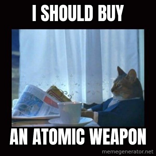 i should buy a boat cat meme: I SHOULD BUY / AN ATOMIC WEAPON