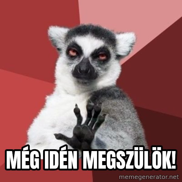 mindenki nyugodjon le a picsába meme: még idén megszülök!