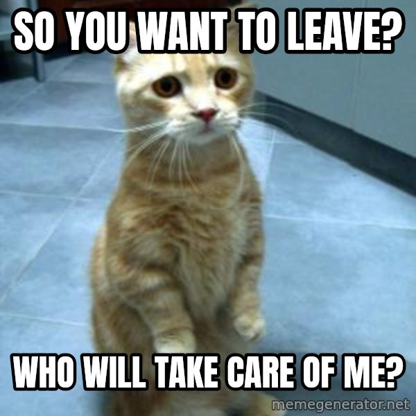 Sadcat meme: So you want to leave? / Who will take care of me?