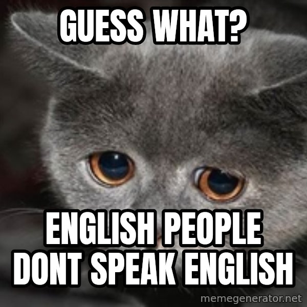 Sadcat meme: Guess what? / English people dont speak english