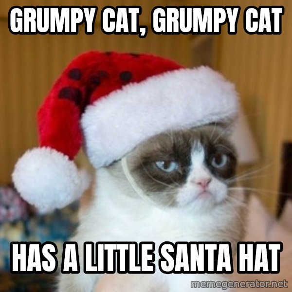 Grumpy Cat Santa Hat meme: grumpy cat, grumpy cat / has a little santa hat