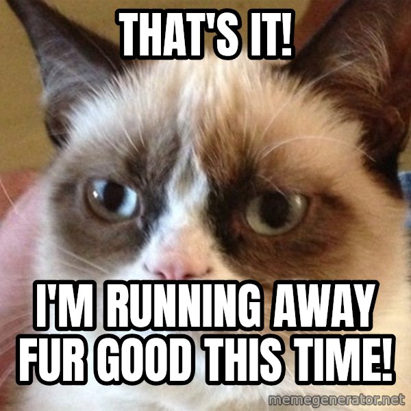 Angry Cat Meme meme: That's it! / I'm running away fur good this time!