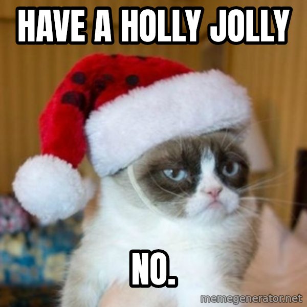 Grumpy Cat Santa Hat meme: HAVE A HOLLY JOLLY / NO.