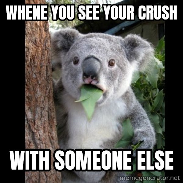 Koala can't believe it meme: whene you see your crush / with someone else