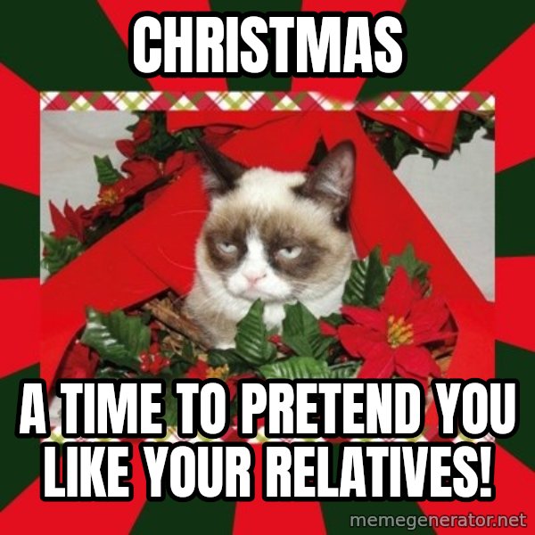 GRUMPY CAT ON CHRISTMAS meme: christmas / a time to pretend you like your relatives!