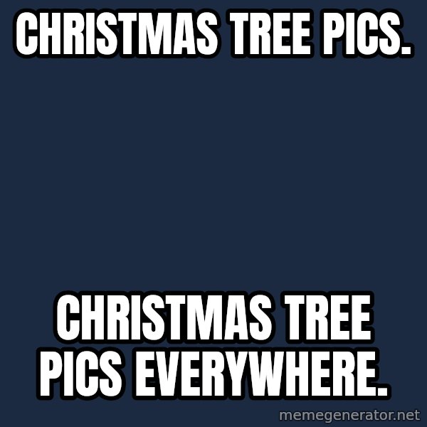 X, X Everywhere  meme: Christmas tree pics. / Christmas tree pics everywhere.