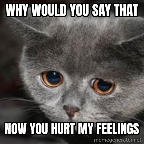 Sadcat meme: why would you say that / now you hurt my feelings