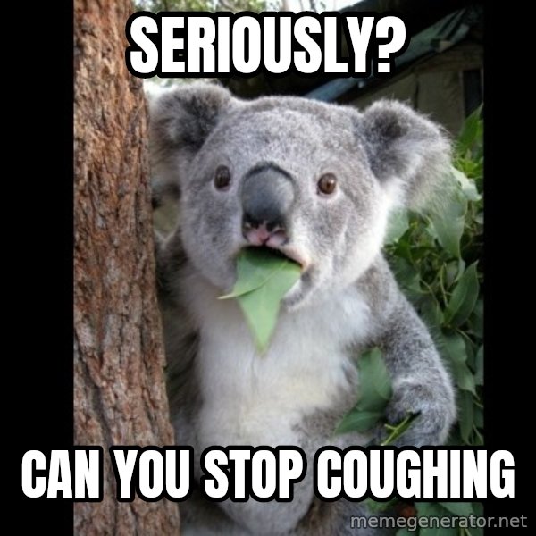 Koala can't believe it meme: Seriously? / Can you stop coughing