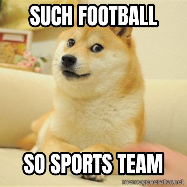 so doge meme: such football / so sports team