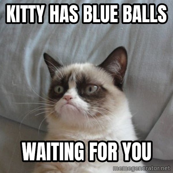 Grumpy cat good meme: Kitty has blue balls / waiting for you