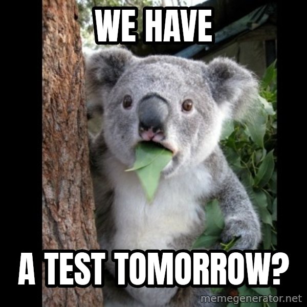 Koala can't believe it meme: We have / A test tomorrow?