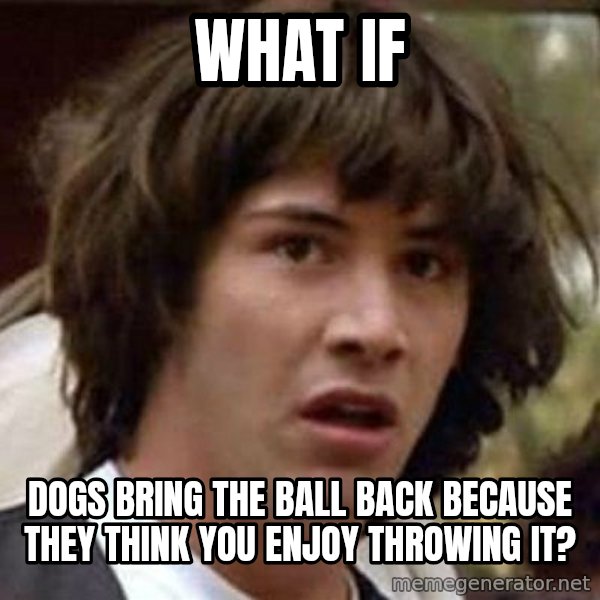 Conspiracy Keanu meme: what if / dogs bring the ball back because they think you enjoy throwing it?