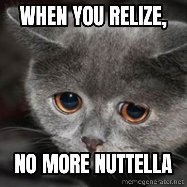 Sadcat meme: when you relize, / no more nuttella