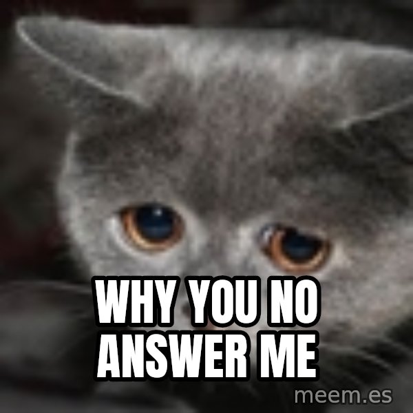 sad cat meme: Why you no answer me