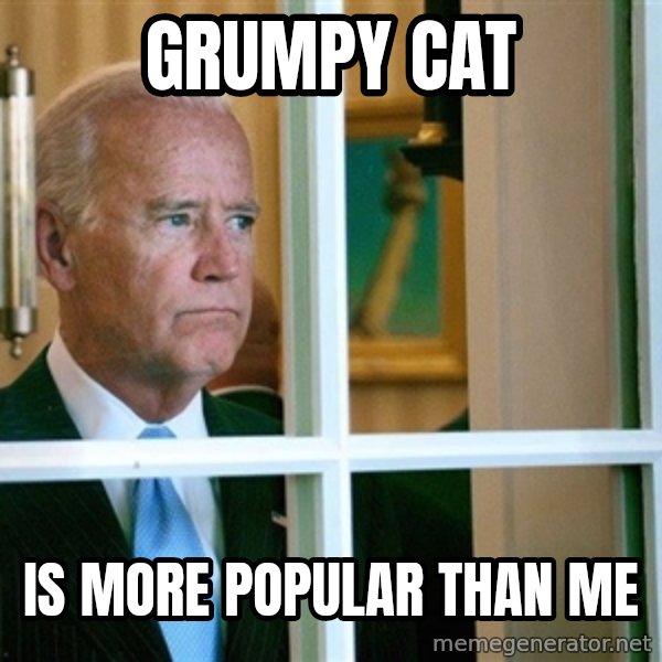 Sad Joe Biden meme: Grumpy Cat / is more popular than me
