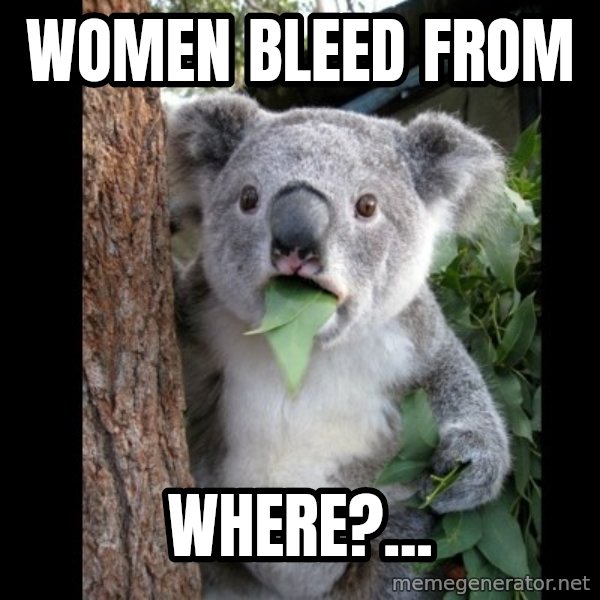 Koala can't believe it meme: women bleed from / where?...